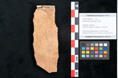 Foto (Objekt + Etikett) von Andromeda protogaea Unger (NHMW-GEO-2024-0188-8018)